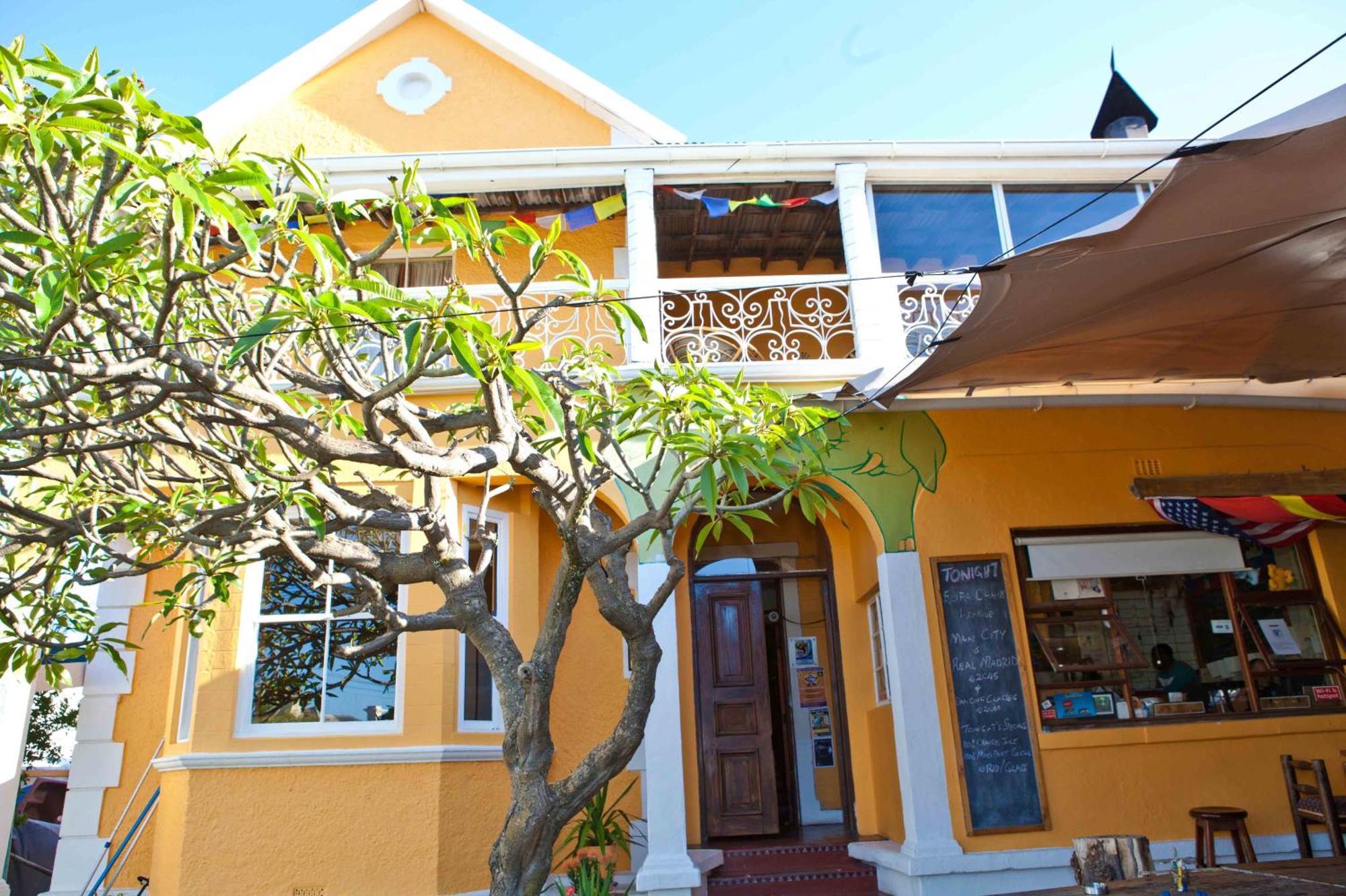 Albergue Elephant Backpackers *