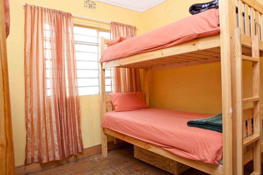 Elephant Backpackers Albergue